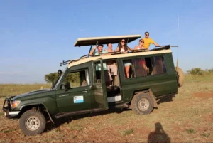 Tourists enjoying game viewing in 4x4 Land Cruiser on Arusha to Serengeti drive.