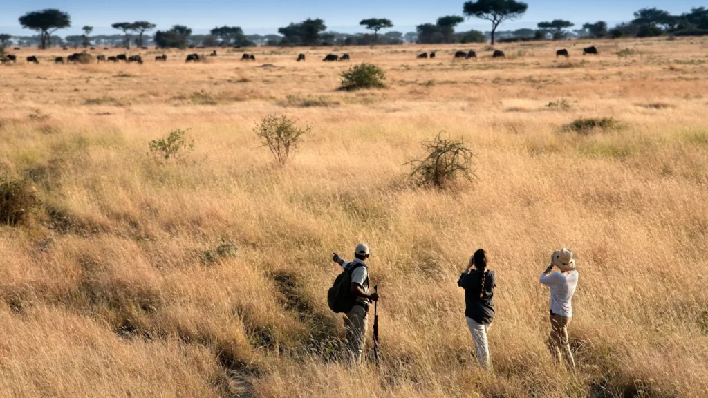 A guide pointing across the plains during walking safaris in serengeti.