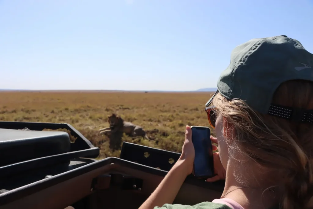 A tourist photographing a lion from a vehicle during serengeti wildlife safari packages.