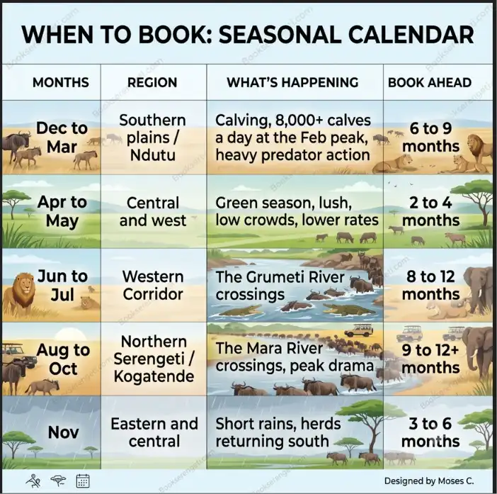 Seasonal calendar infographic for Serengeti safari booking showing region, wildlife events, and booking timelines.