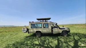 4x4 safari land cruiser parked on open savanna grassland during Serengeti safari.
