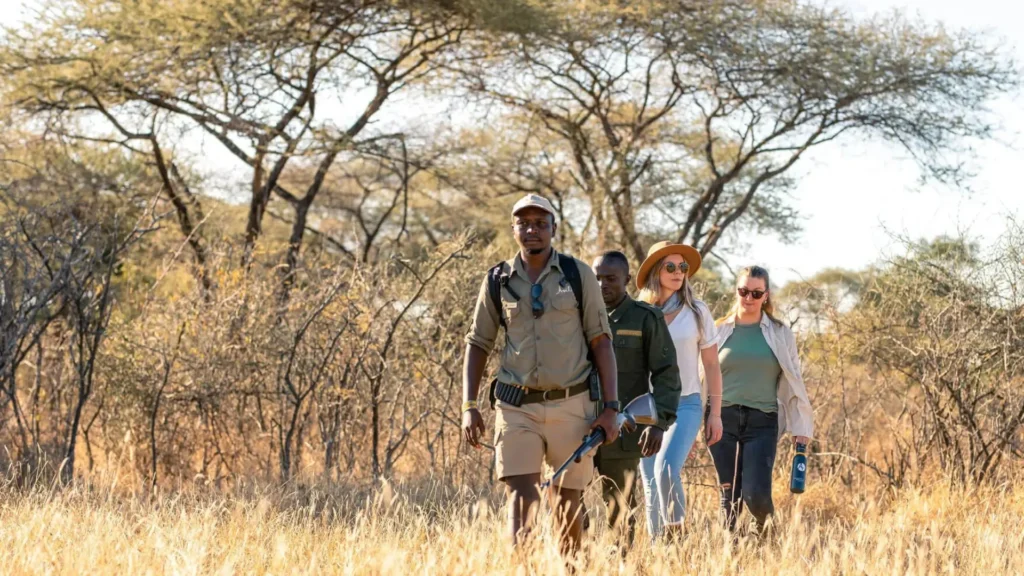 Tourists trekking with armed rangers during walking safaris in serengeti.