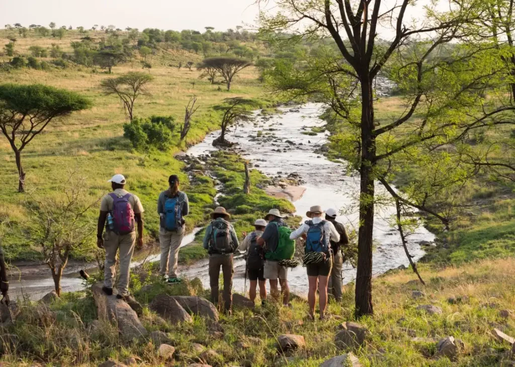 A group overlooking a river valley while enjoying walking safaris in serengeti.